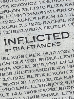cover image of Inflicted
